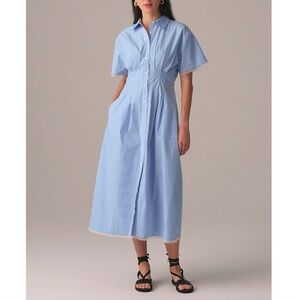 J Crew Wren Lace-Trim Shirt-Dress in Stripe